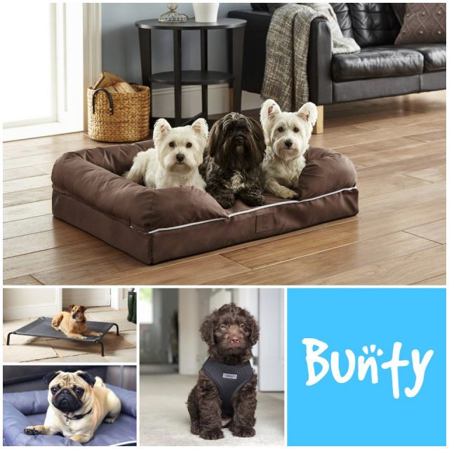 Bunty Pet Beds